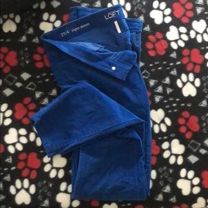 Corduroy royal blue pants size 4/27